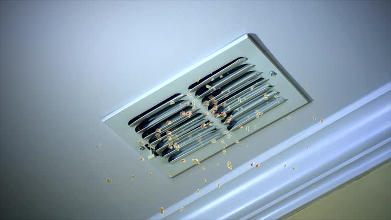 Best Ductwork Cleaning Services  in Linn, MO